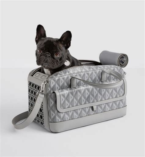 Dior pet carrier